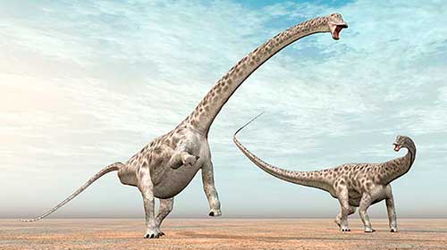 Dinosaurio Diplodocus luchando con otra especie