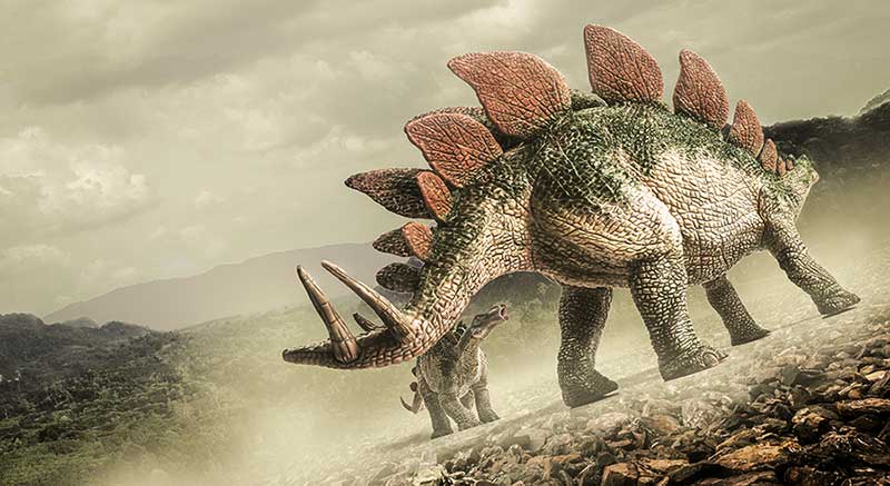 Estegosaurio o largo cubierto, un gran dinisaurio