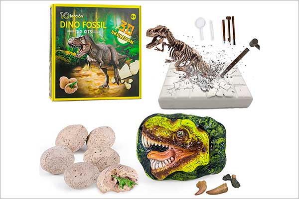 Juguete Kit de excavación de fósiles de dinosaurio para niños