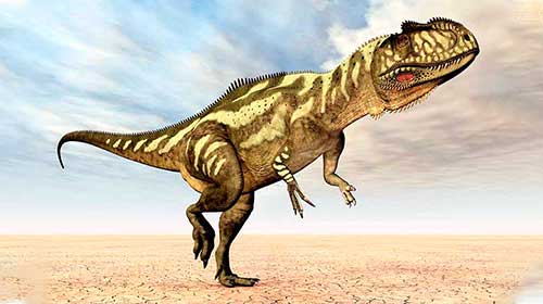 Imagen de dinosaurio Ceratosaurus